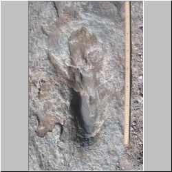 102_6147 (2013-08-07)m.JPG